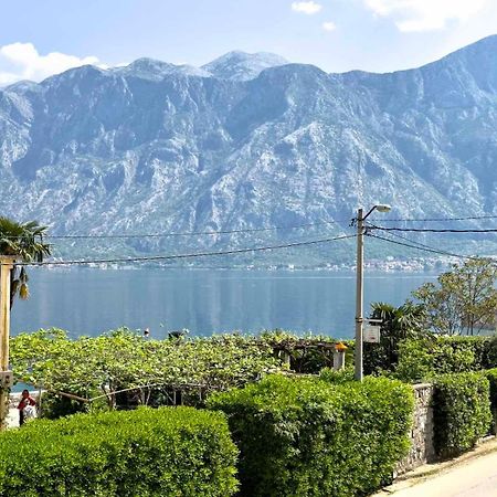 Apartments Asya Kotor Eksteriør bilde