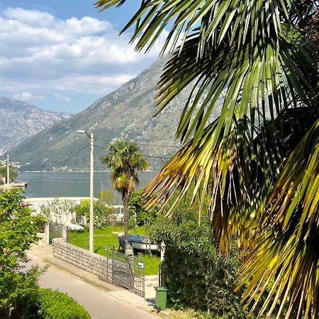 Apartments Asya Kotor Eksteriør bilde
