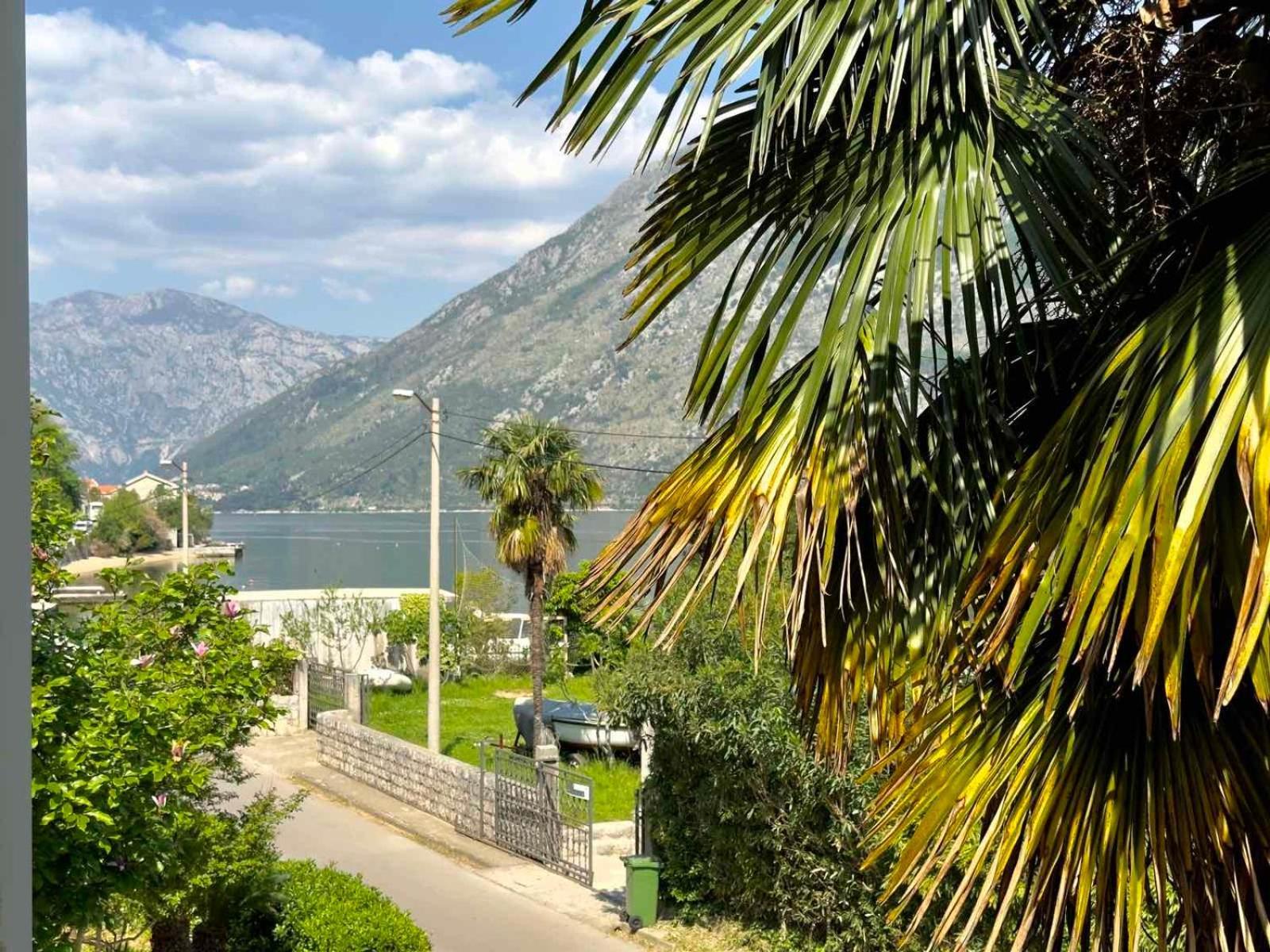 Apartments Asya Kotor Eksteriør bilde